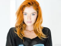 Red Fox - Fitting Room