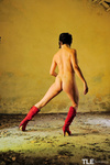 Zeo - The Life Erotic