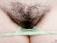 Cece - ATK Hairy