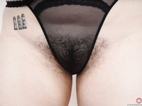 Cece - ATK Hairy