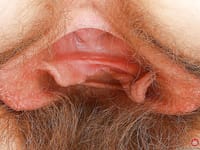 Apricot Pitts - ATK Hairy