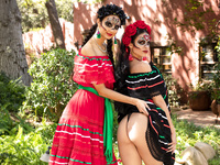 Eliza Ibarra, Katana Kombat - When Girls Play