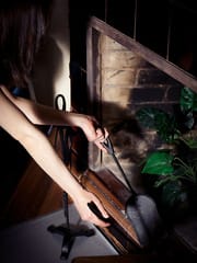 Poppy - The Life Erotic