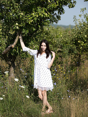 Adel Morel - Domai