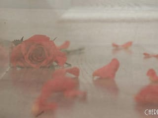 Spencer Bradley Masturbates in the Bathtub With Her Double Dildo