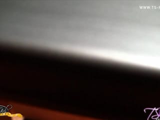 Возбужденный шмель TS Foxxy играет со своим сильным членом перед сном