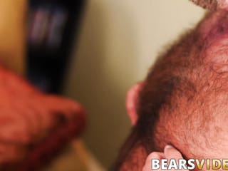 Papà orso succhia il grosso cazzo del cucciolo e gli scopa il culo stretto