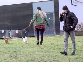 Encantadora mujer checa con cuenta vacía