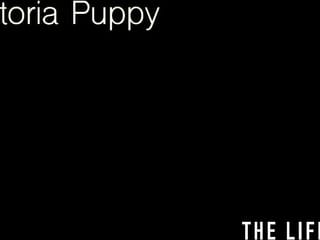Victoria Puppy rams her pussy with a big cucumber
