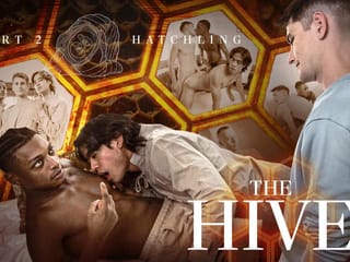 Trevor Harris, Ty Santana, and Jay Wu Explore a Thrilling New World in The Hive: Hatchling