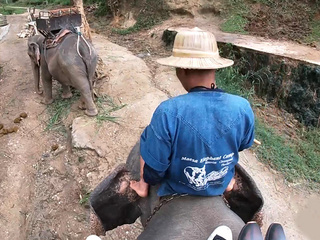 Elefante montando en Tailandia con pareja adolescente que tuvo relaciones sexuales después.