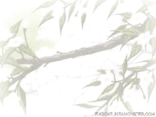 Hentai Dessin animé Doubbed en anglais romantique